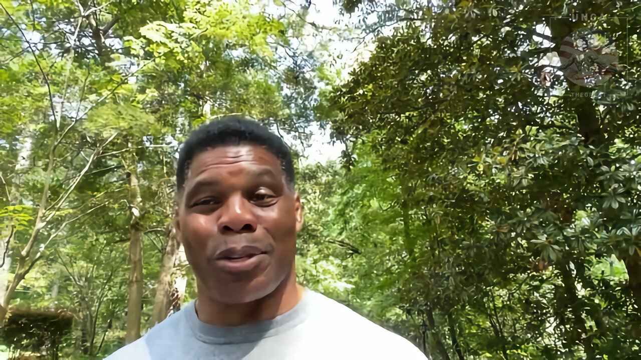 Herschel Walker: If Need Be Speaker Pelosi, I Will Take You to Taiwan Myself