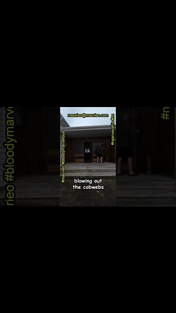 #maurieo #shorts COBWEBS BLOWN