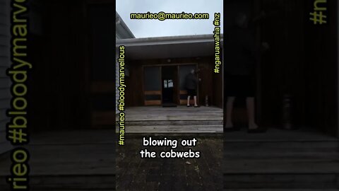 #maurieo #shorts COBWEBS BLOWN