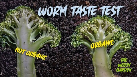 BATTLE OF THE BROCCOLI - Worm Taste Test (Mirrored) The Shocking Truth About Nutrients in Your Food!