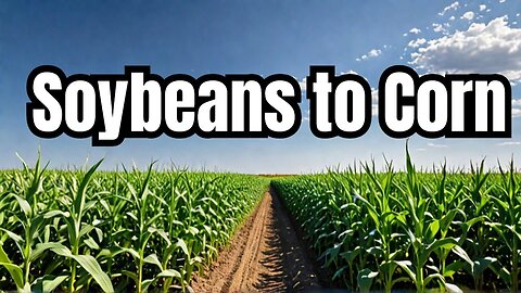 Will corn be more profitable than soybeans? - Millennial Farms - Episode 2