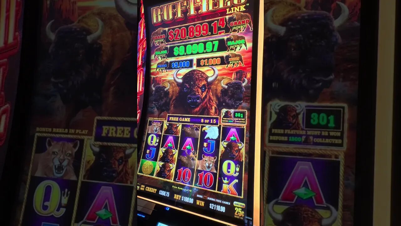 Oh Yeah 😝 Buffalo Link Jackpot #casino #lasvegas #slots