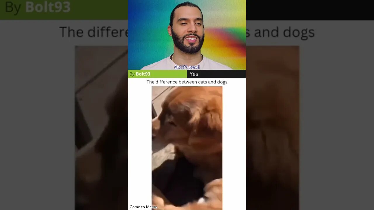 The difference between cats and dogs 🐱🐶