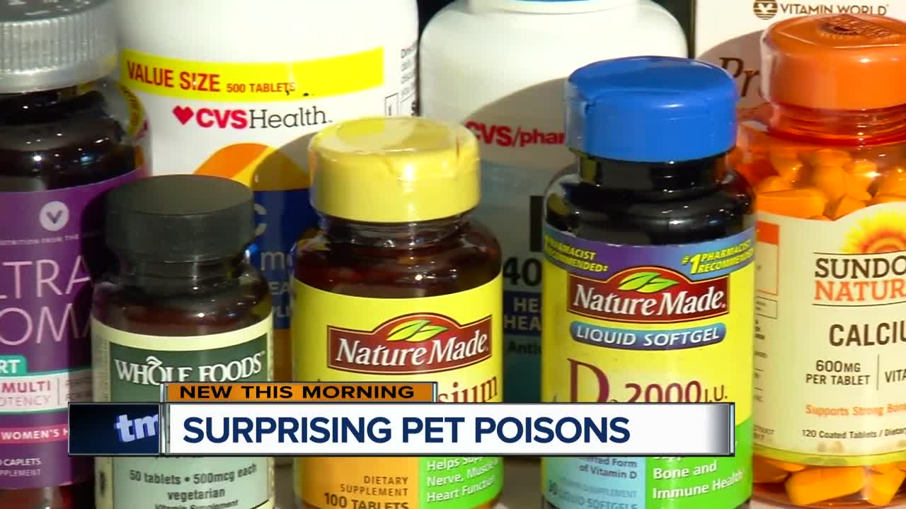These surprising pet poisons could be lurking in your home