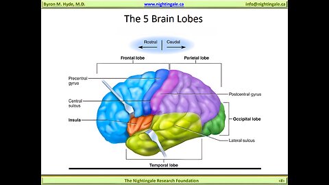 A Tour around The 5 Brain Lobes - Byron Hyde, MD