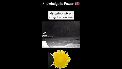 Orbs On Camera