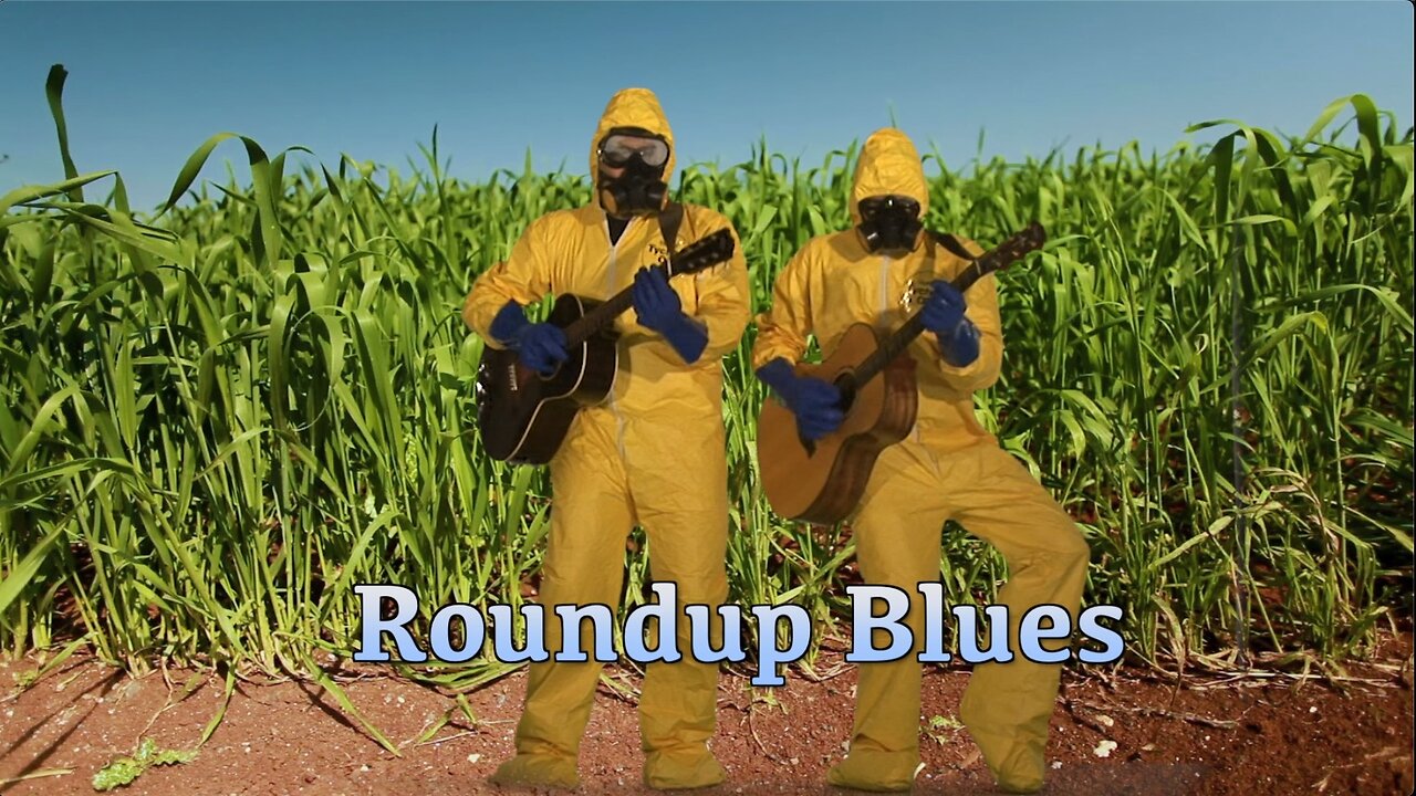 Roundup Blues - by The Special Interests