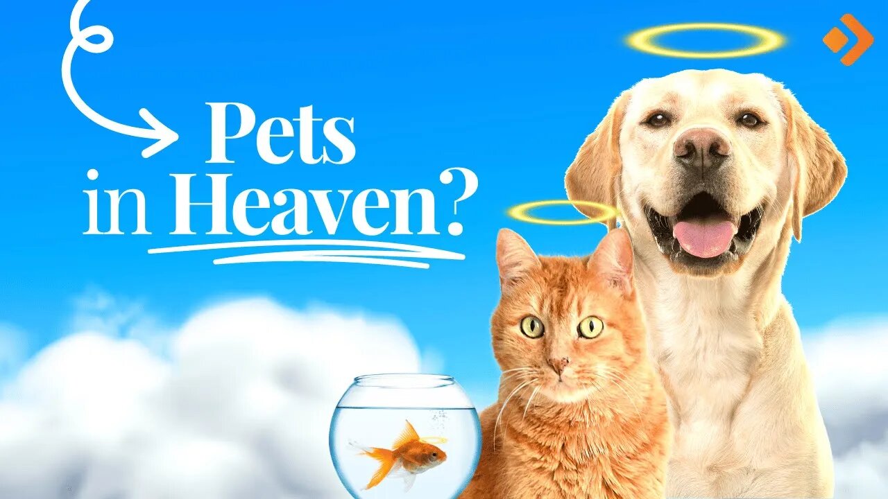 Will Our Pets Be In Heaven?