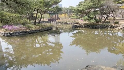 여의도공원 연못