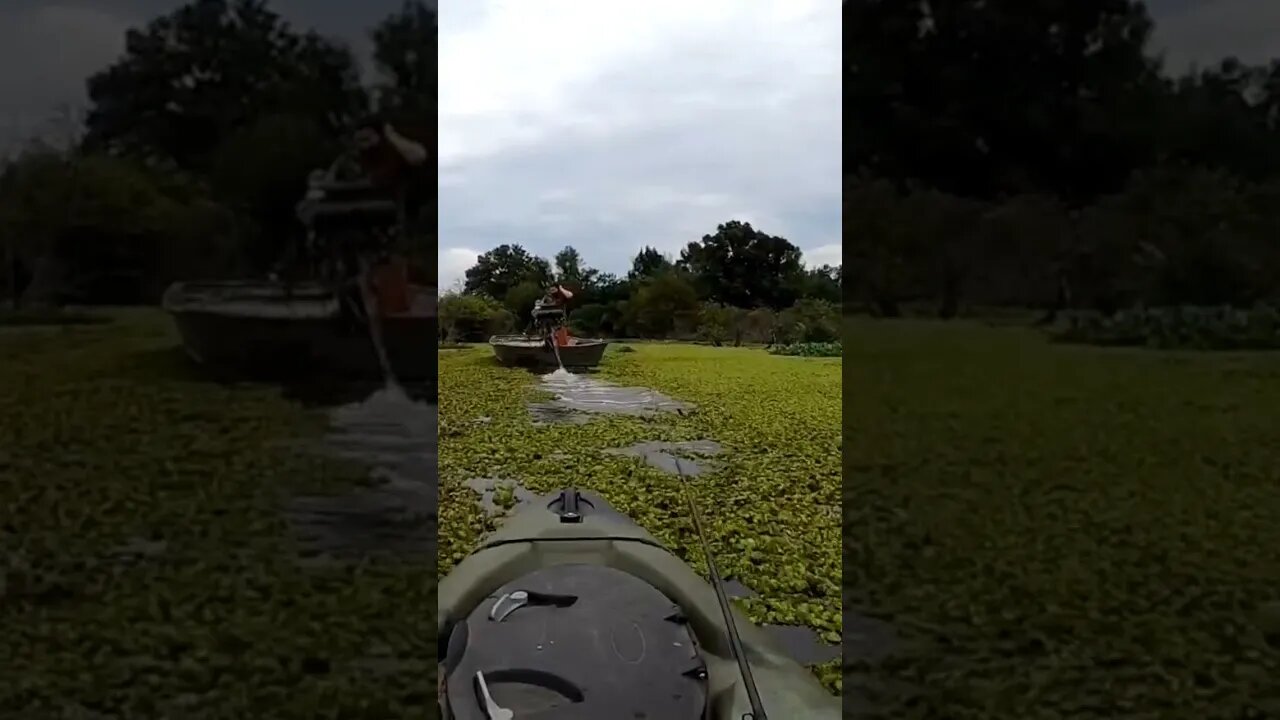 Had To Be Rescued