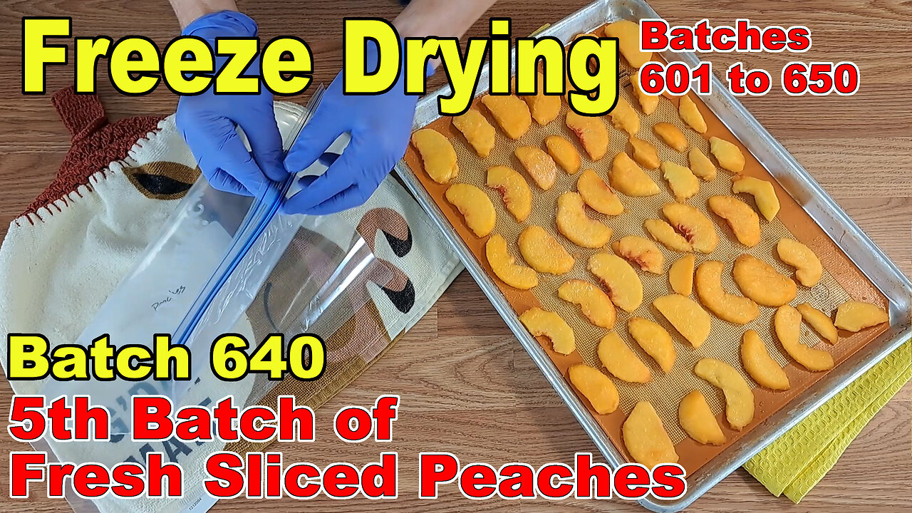 Freeze Drying Another Batch of Fresh Peaches - Batch 640