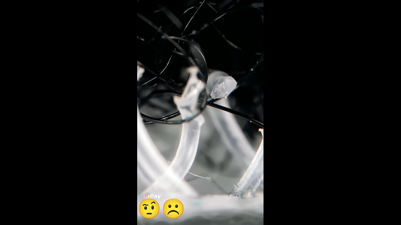 🧐😯When we look deeply in the microscope