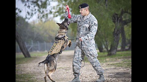 Dog training cisf