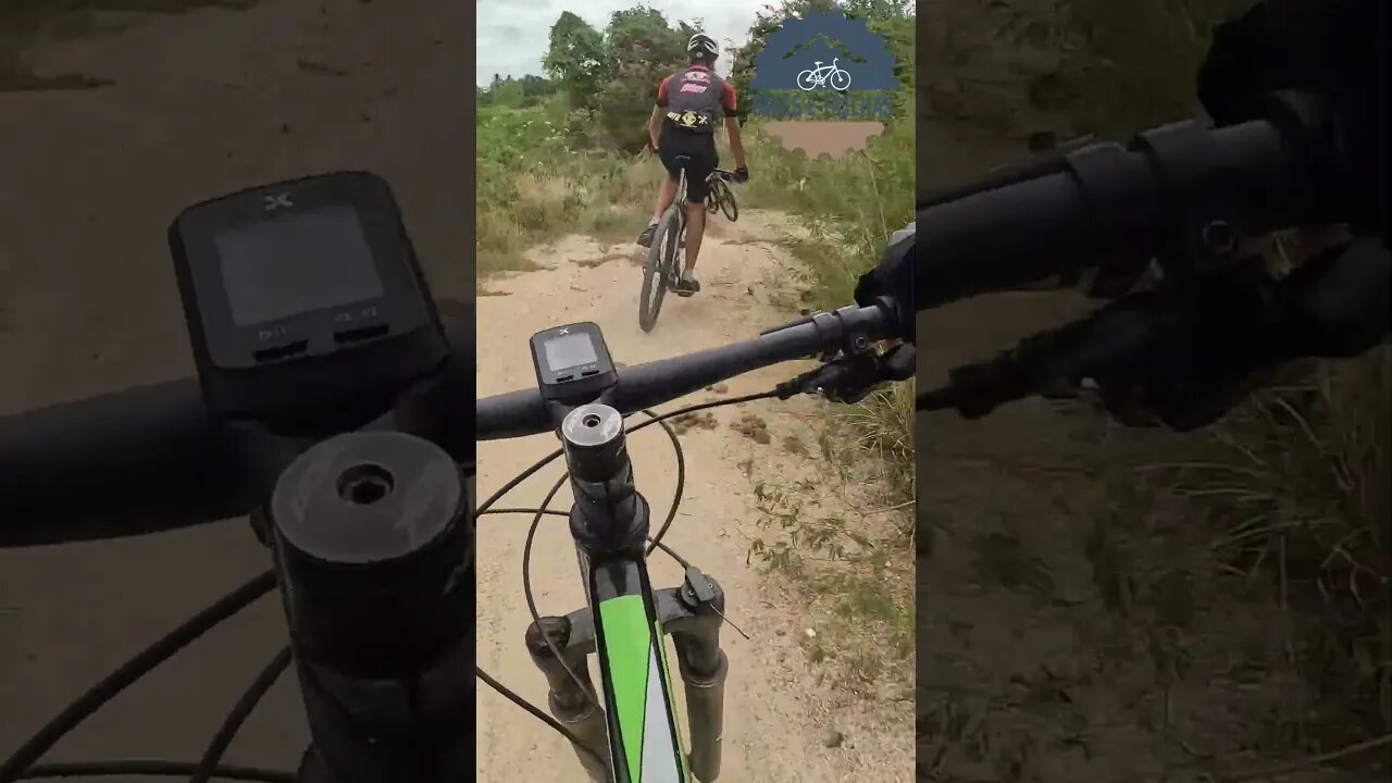 Single tracks e mais singles tracks - BIKES E TRILHAS #shorts #bike #trilha