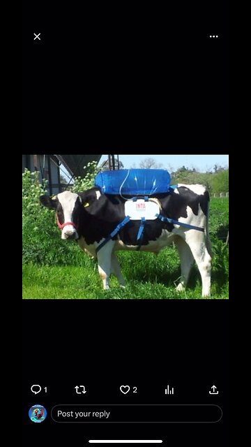 Cow Fart Bags - 0% Climate Change Impact