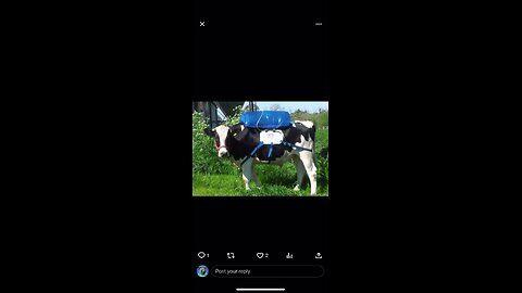 Cow Fart Bags - 0% Climate Change Impact