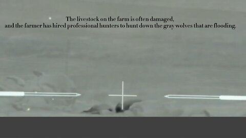 The livestock on the farm is often damaged by wolves, and the farmer has hired professional hunters