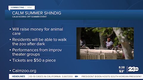 Calm Zoo kicks off Summer Shindig