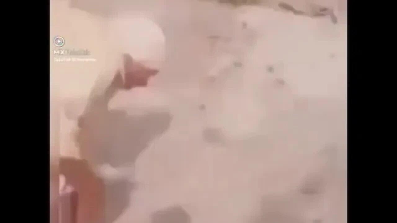 #shorts funny videos 🤣🤣#shorts #shorts