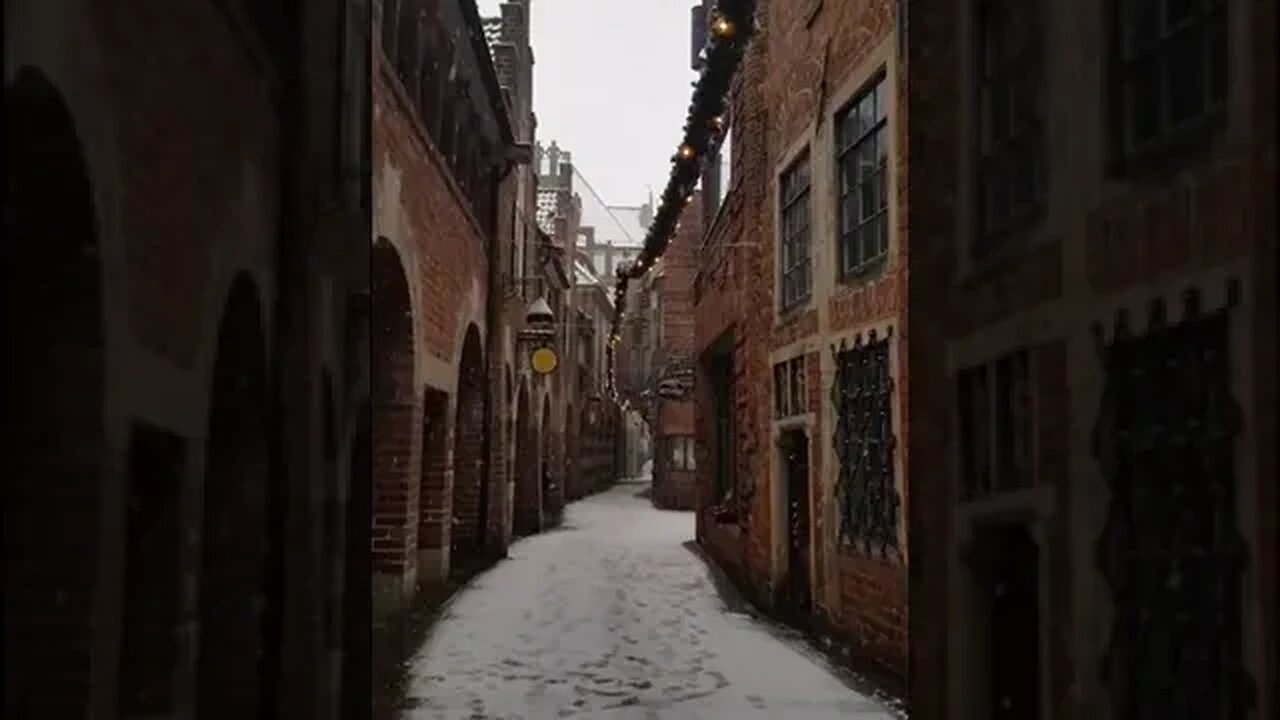 Snowy Day Tiktok twiceconfused