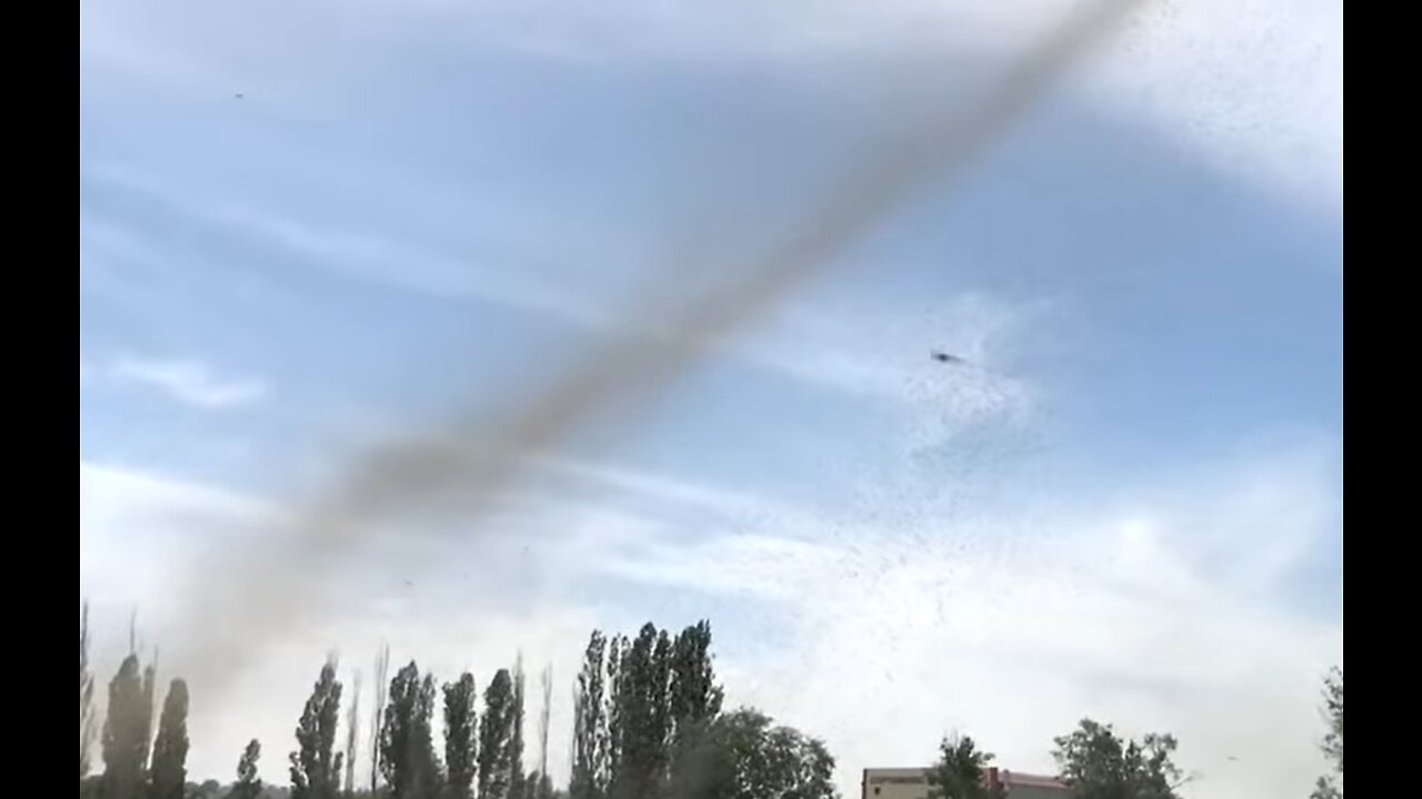 A Giant Mosquito Tornado