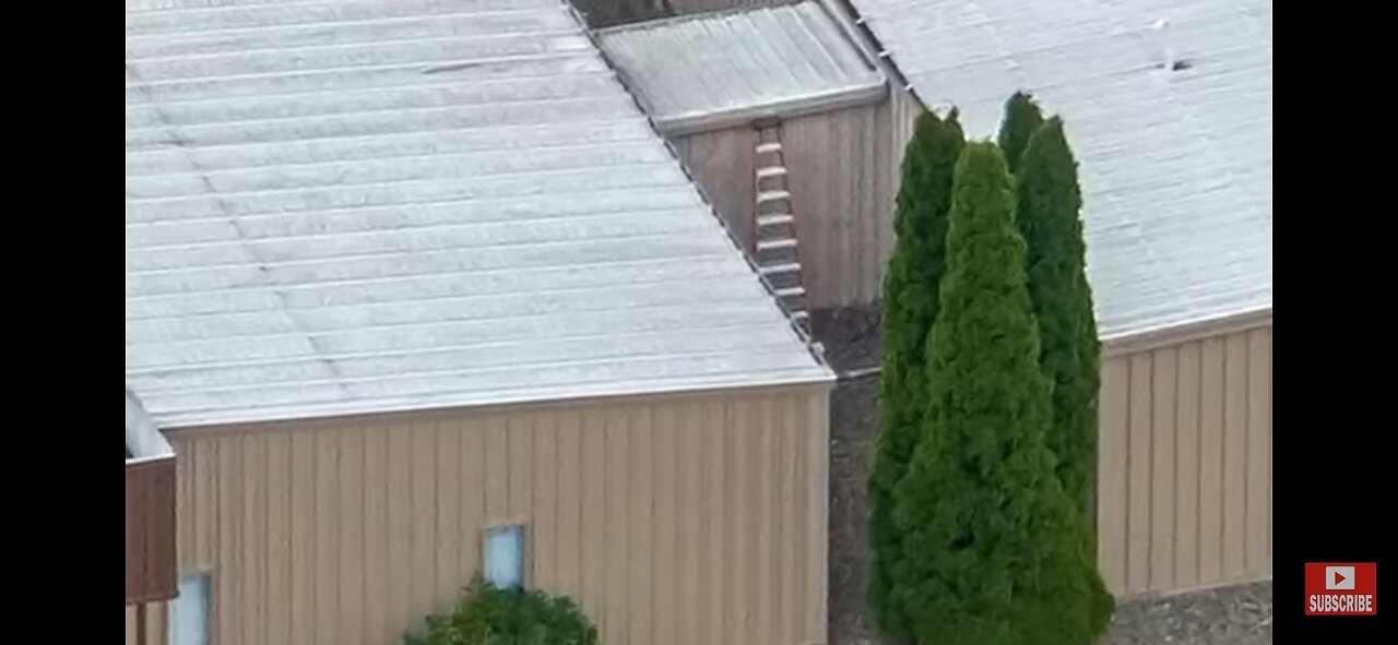 TRUMP SHOOTING / LADDER QUESTIONS