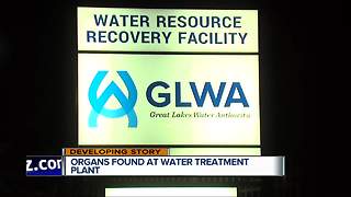 Possible body parts found at Detroit water facility