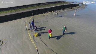 Une épave vieille de 122 ans retrouvée sur une plage brésilienne