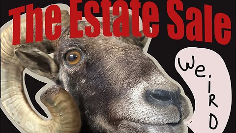 The Estate Sale.