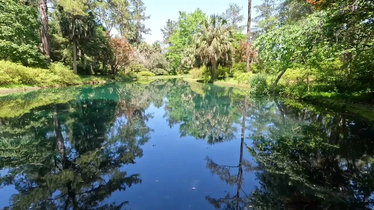 Peaceful Reflection - The Black Pond at Maclay Gardens