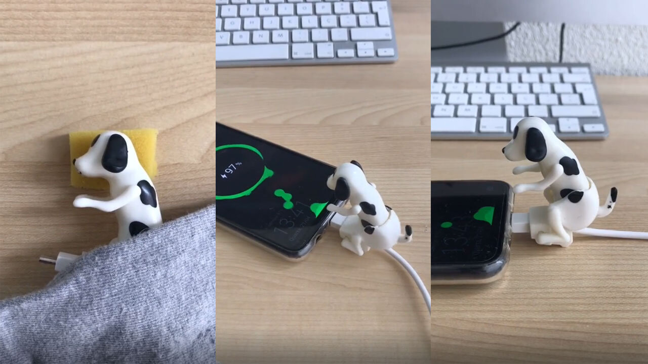 CREATIVE PHONE CHARGER - Funny dog phone charger (REALLY FUNNY!!)