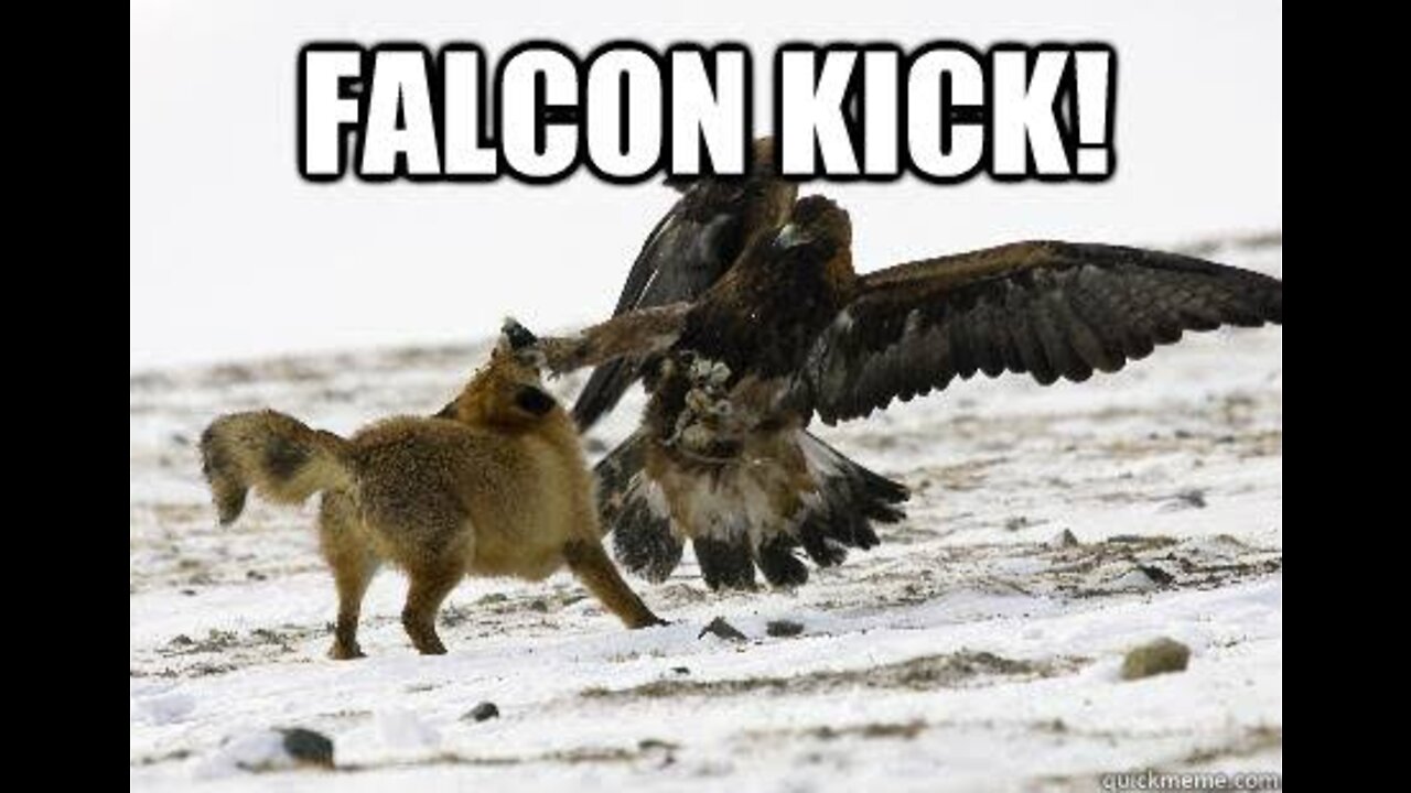 A Guide on How to play Cap Falcon (an n64 falcon gameplay)