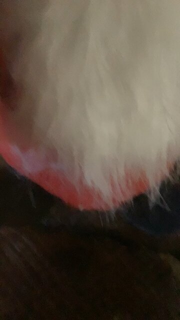 Bro thinks he’s talking Ben