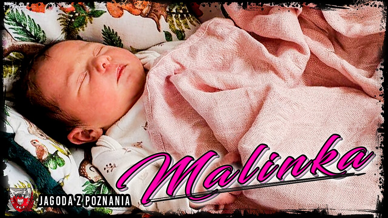 █▬█ █ ▀█▀ Omówienie najważniejszych tematów związanych …. „Malinka” 09 08 2024