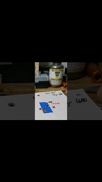 AR Plus In The 450 Bushmaster? 🧐