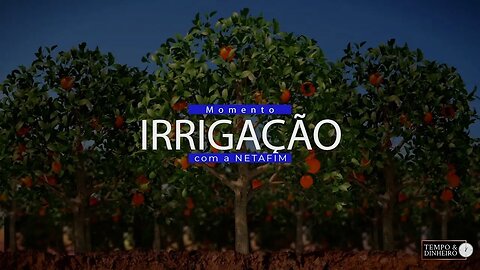 Processo de Harmonização da Netafim no processo de irrigação