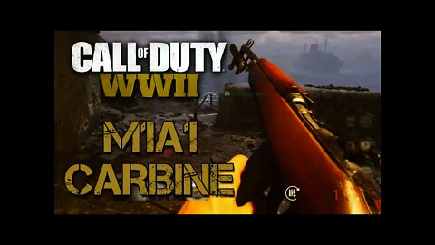 NEW M1A1 RIFLE in Call of Duty: WW2! - The Beta is Back EARLY!