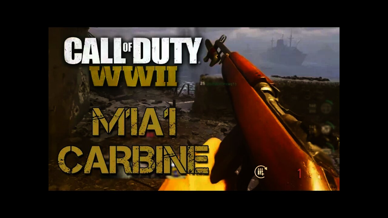 NEW M1A1 RIFLE in Call of Duty: WW2! - The Beta is Back EARLY!