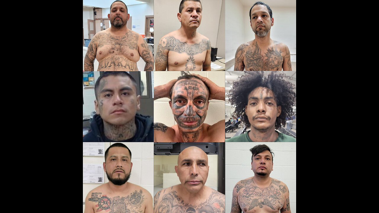 Hundreds Of Violent Gang Members Arrested In United States, Border Patrol Says