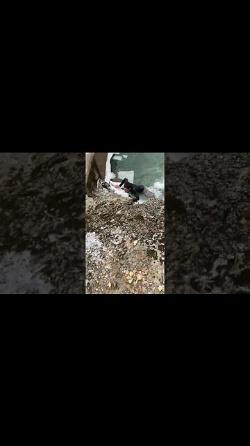 Bro was running north but his feet was aiming east 🤣😂 #fails #funnyfails