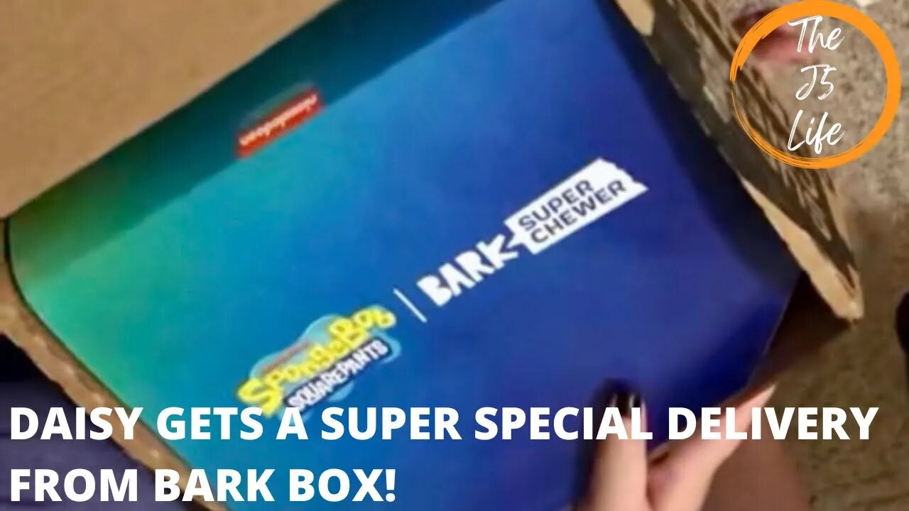 Daisy Gets A Super Special Delivery From Bark Box!