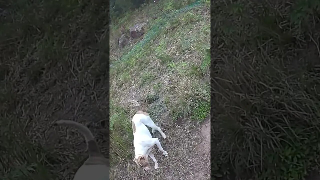 And in a blink he’s gone. We miss you Henry 💔