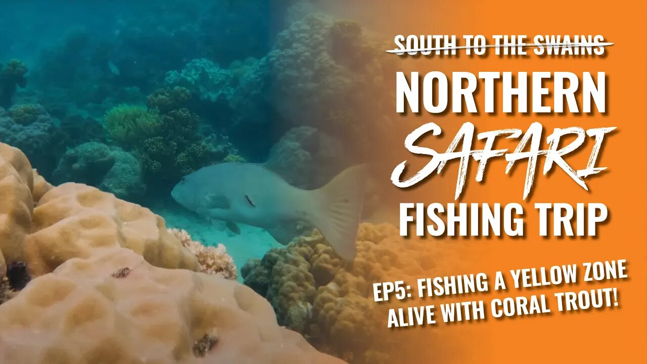 Ep. 5 Northern Safari: Fishing a yellow zone ALIVE with coral trout!