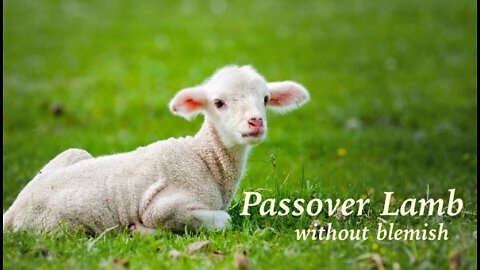 Jesus our Passover — A Lamb without Blemish