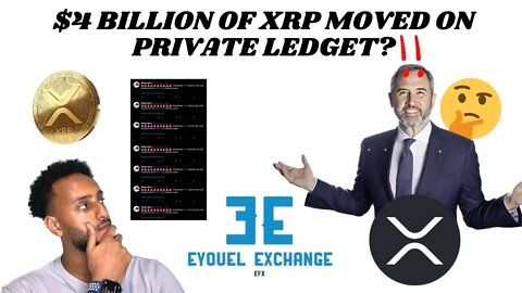 RIPPLE XRP $4 Billion 6% of total supply moved from multiple wallets, private ledger movement?