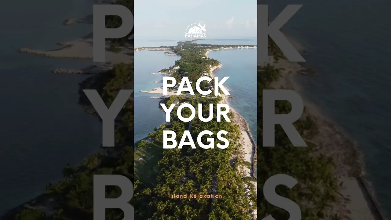 "Bahamas Aerial View: Seagulls' Serenade #bahamas #droneescape #paradisdrone