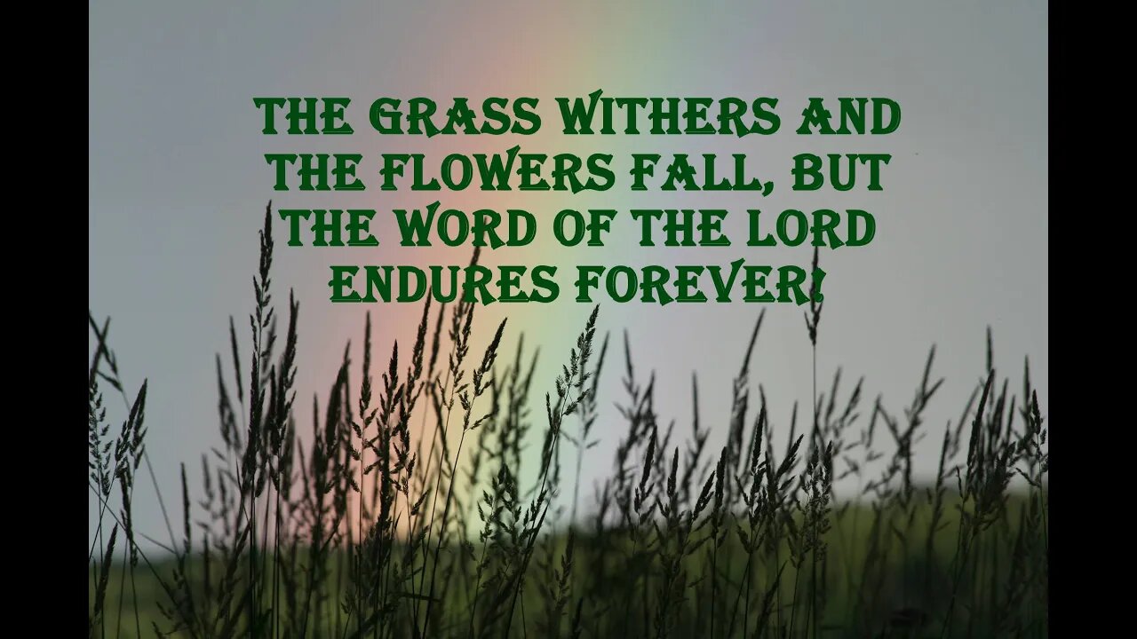 Grass Withers So Shall We