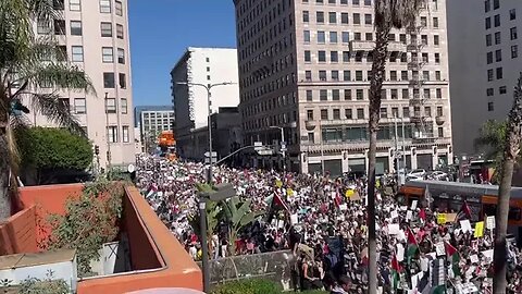 Pro Palestinian Protests In Los Angeles #stoptheviolence