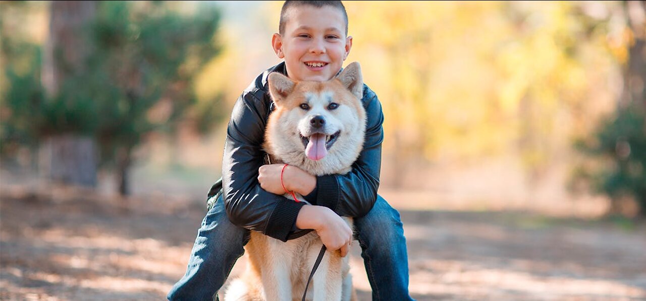 *HOW CUTE IS THAT* | Dogs and Owners been separeted for long time before they finally meet again