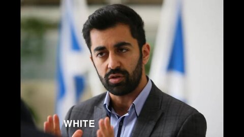 Highland Stallion vs Humza muh stella tins white